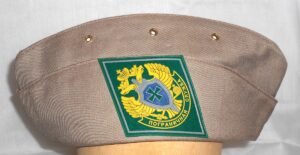 Forage Cap with badges Gray (Pilotka) - 4
