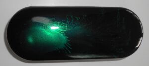 Glasses Case Ginger Fox - 5